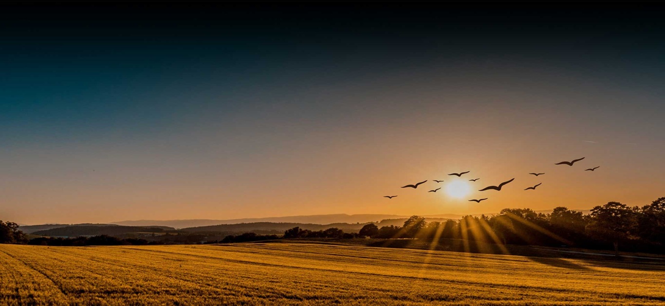 M3M Plots Kurukshetra