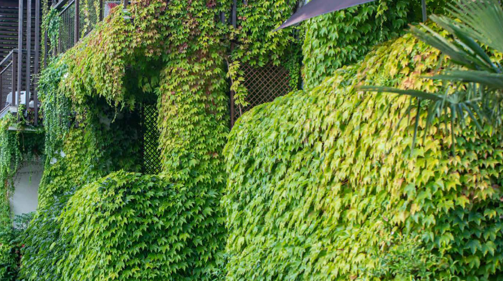 Remarkable Hanging Gardens